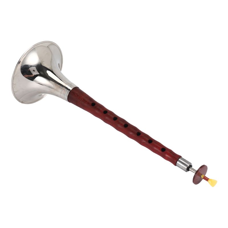 A12E-Instrumen Musik Angin Tra - Musical Instrument Zurna ulasan dan harga