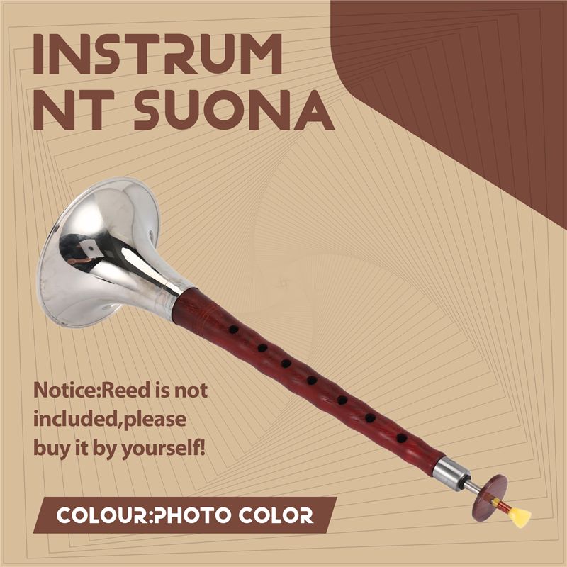 A12E-Instrumen Musik Angin Tra - Musical Instrument Zurna ulasan dan harga